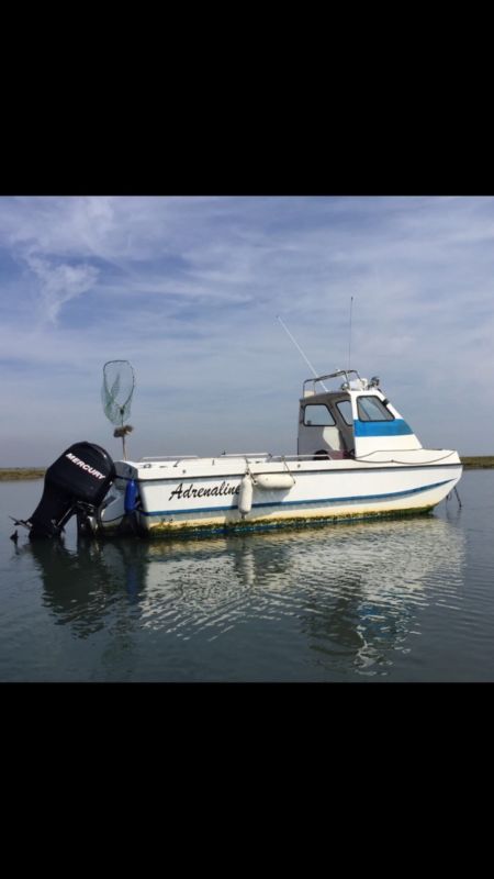 20ft Dory Mercury 115hp Fishing Boat for sale from United