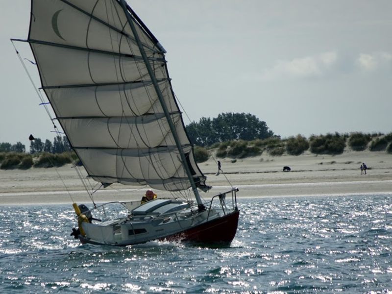 junk rigged sailboats for sale