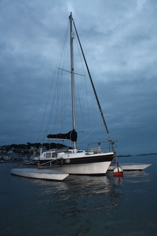 ocean bird trimaran for sale