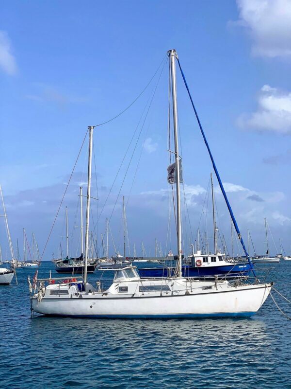 used amel sailboat