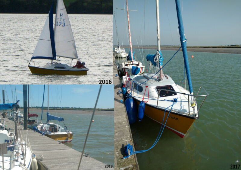 fox cub 18 sailboat