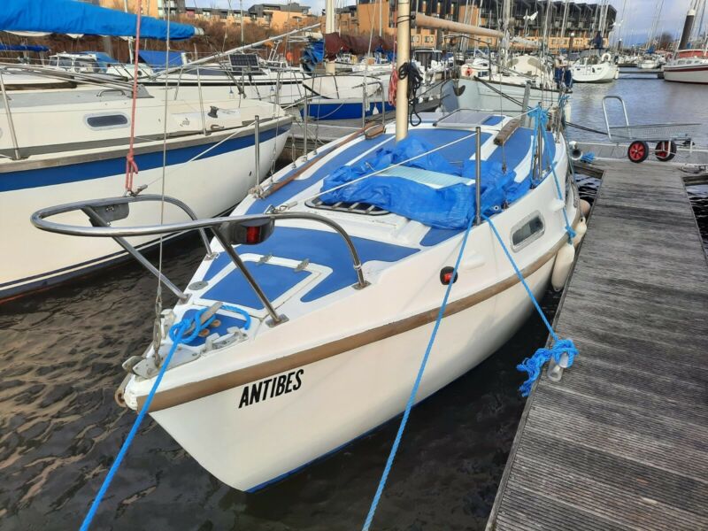 vivacity 650 sailboat