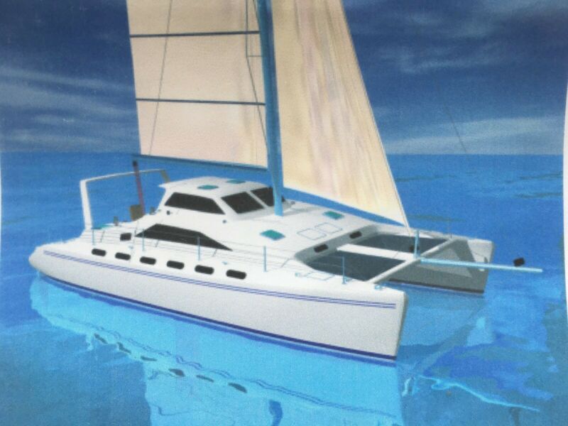 f 41 catamaran