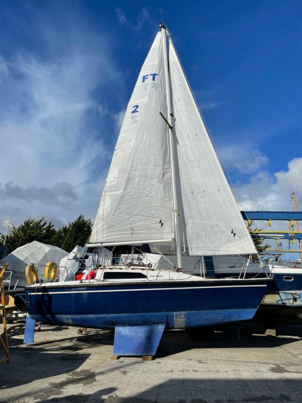 fox terrier 22 yacht