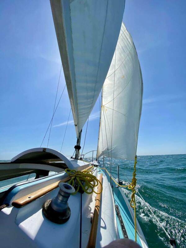 pandora 21 sailboat