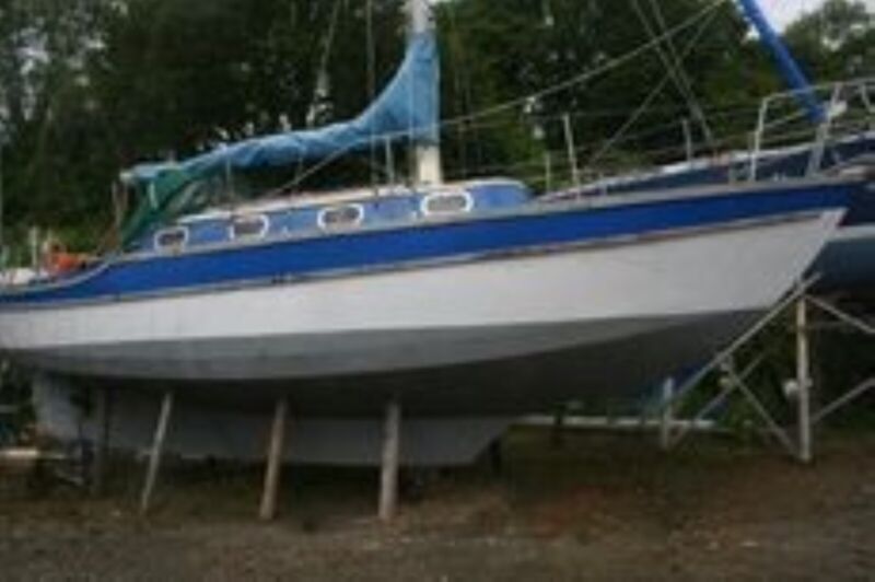 golden hind yacht for sale