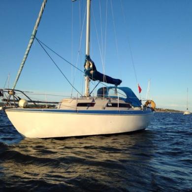 25 ft sailing boats for sale