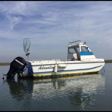 20ft Dory Mercury 115hp Fishing Boat for sale from United